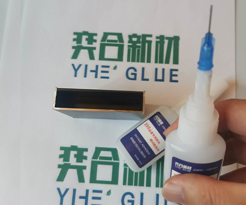 新澳网2025官方网站下载