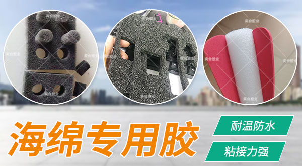 新澳网2025官方网站下载